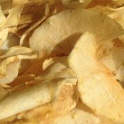 сушилка купить минск, дегидратор Яблочные чипсы на дегидраторе Волтера 1000 Люкс. peresvet.by